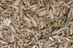 biomass boilers Pant Y Pyllau