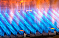 Pant Y Pyllau gas fired boilers